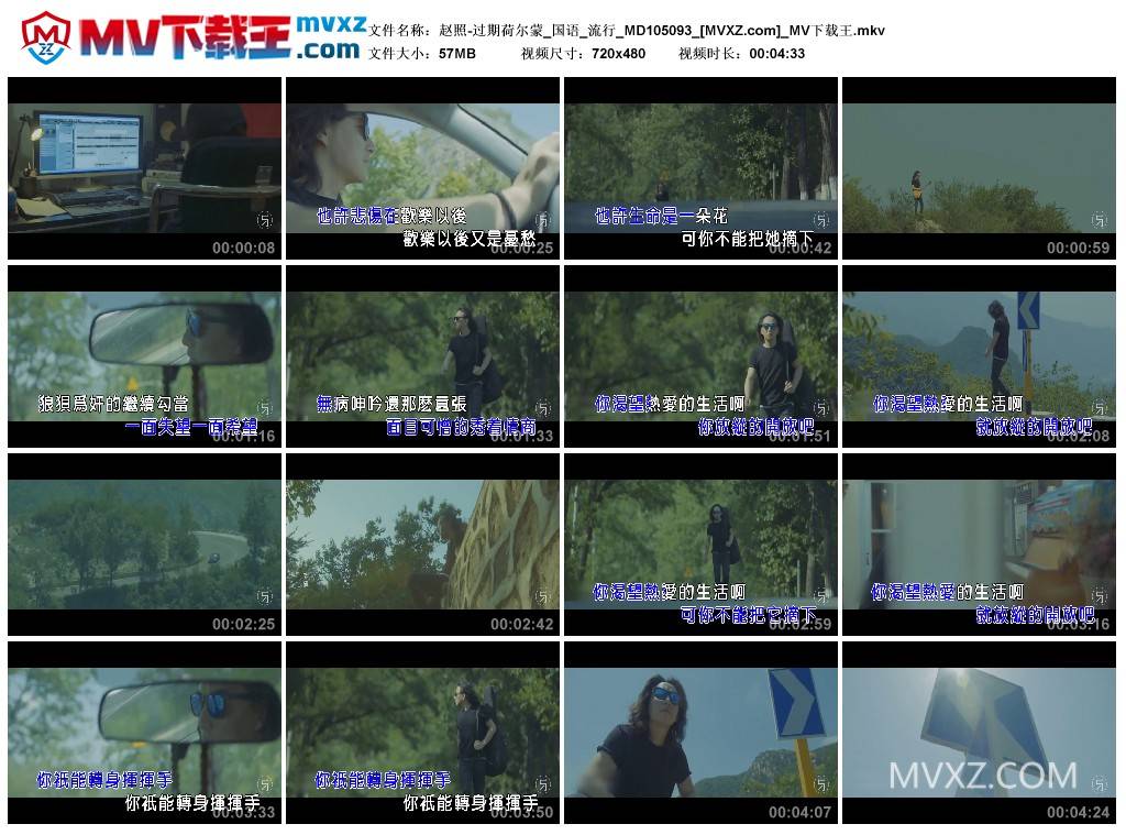 赵照-过期荷尔蒙_国语_流行_MD105093